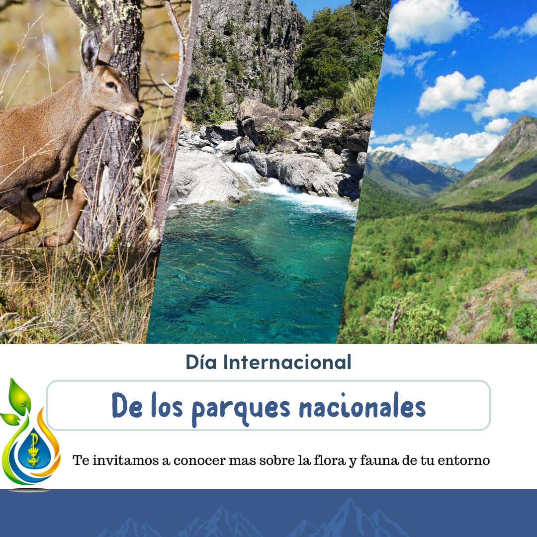 Día Nacional de los Parques Nacionales | Instituto Santa María - San Carlos