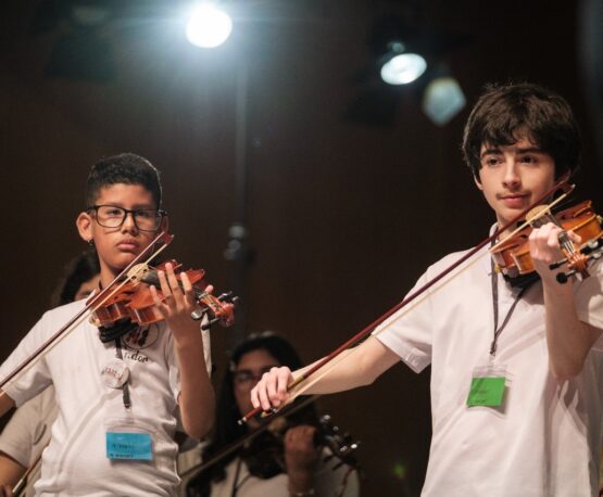 c213653c-cf26-40d1-bae4-77e66751f8db